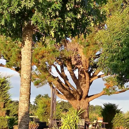 Holiday home En Campagne Lamegritniere *