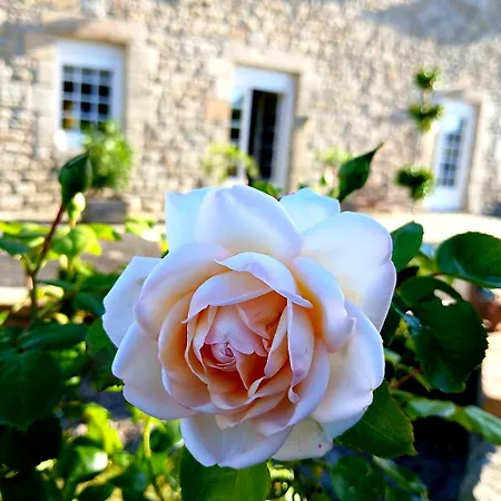 En Campagne Lamegritniere *