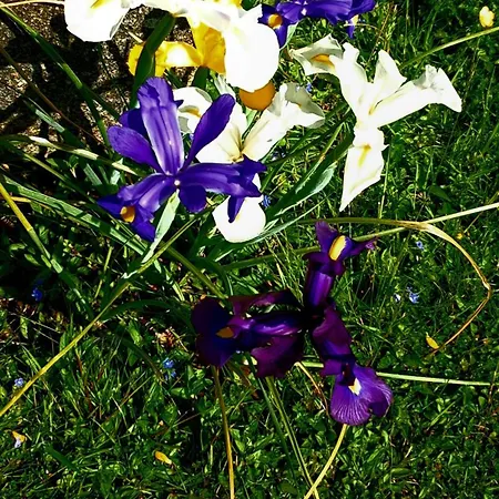 En Campagne Lamegritniere *